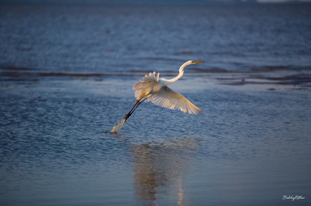 #Liftoff from low tide here on St. Helena Island! #Beaufort #lowcountry #Canon #5dmarkiii #Bringit