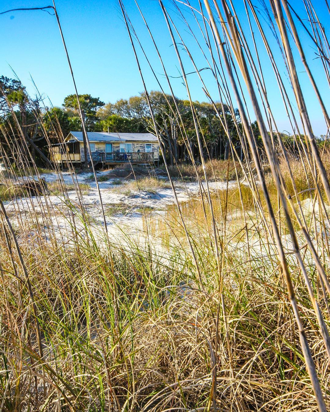 This is one of the last images I captured of our cabin on Hunting Island, taken in 2007. You can see a lot of beach here separating the cabin from the ocean. My grandfather built this cabin when my dad was a little boy. There is old 8mm movie film showing my dad as a boy crossing the road, where this picture was taken, climbing large dunes as high as the house, then off to the beach. When I was a boy, the road was still there yet unused, and a path through the dunes to the beach. I remember growing up laying under the ceiling fan in the summer with no air conditioning with the windows wide open. There was no breeze because the dunes blocked the breeze from the house. You can see here there are no dunes, so we enjoyed the breeze from the ocean during the last few years before we tore it down. The last night I stayed here in 2008, the ocean was under the deck piers and you could feel the cabin shift. It was a rustic cabin, but it was an awesome getaway for the family! I still wish it was here for Rosebud, George, and Henry to enjoy experiencing the lowcountry culture including the deer that would walk right up to you. #DreamingOfBeaufort #HuntingIsland #Canon #20D